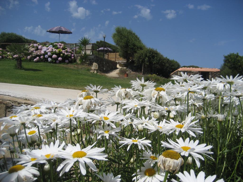 La Chintana Holiday home