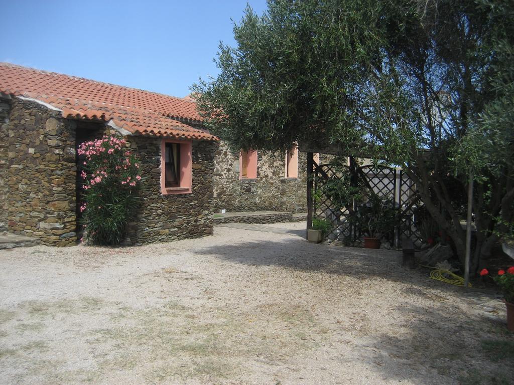 La Chintana Palmadula