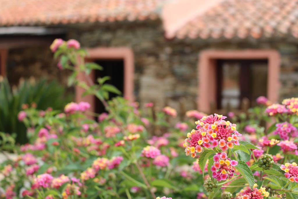 Holiday home La Chintana *