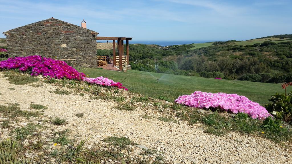 La Chintana Holiday home Palmadula