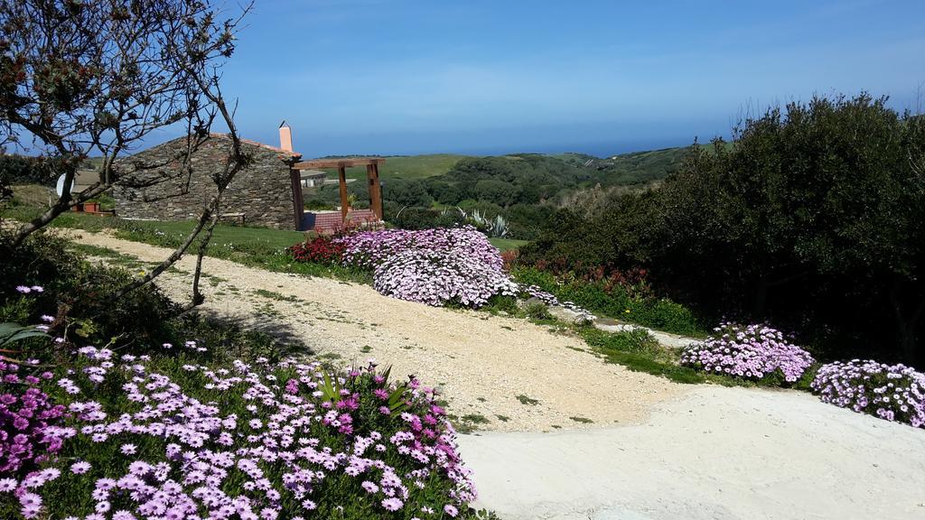 Holiday home La Chintana Palmadula