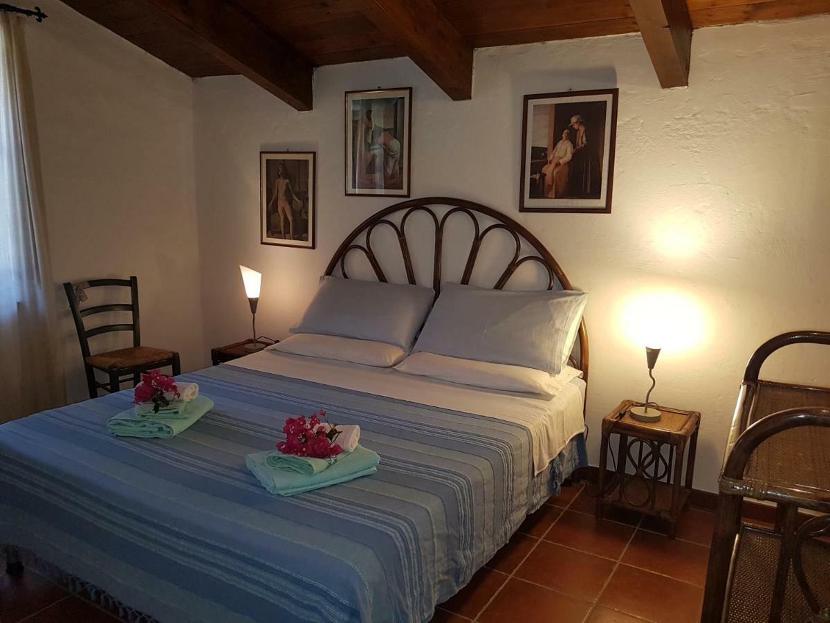 La Chintana Palmadula