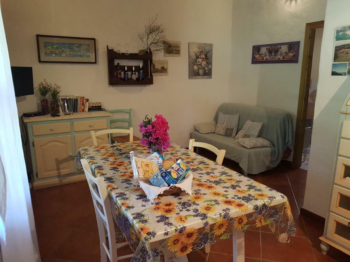 La Chintana Palmadula