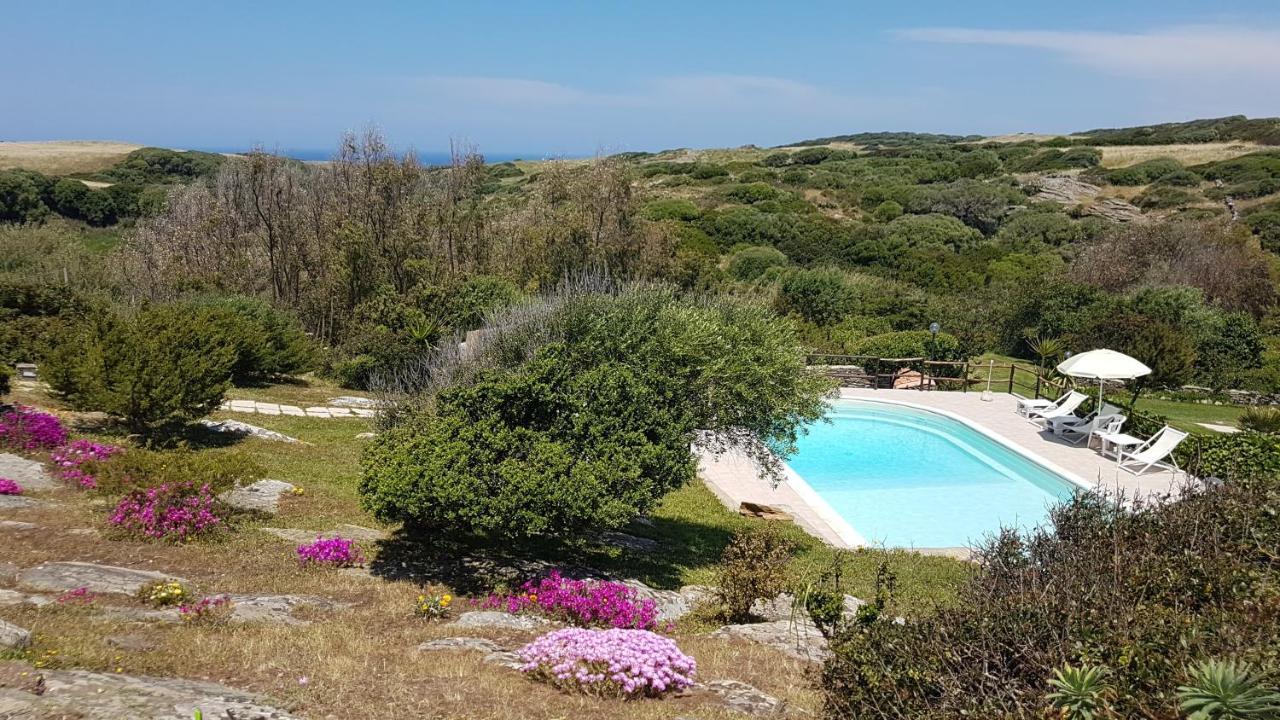 Holiday home La Chintana *